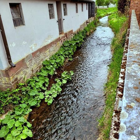 Ferienwohnung Zum Sollingtor Dassel Exterior foto