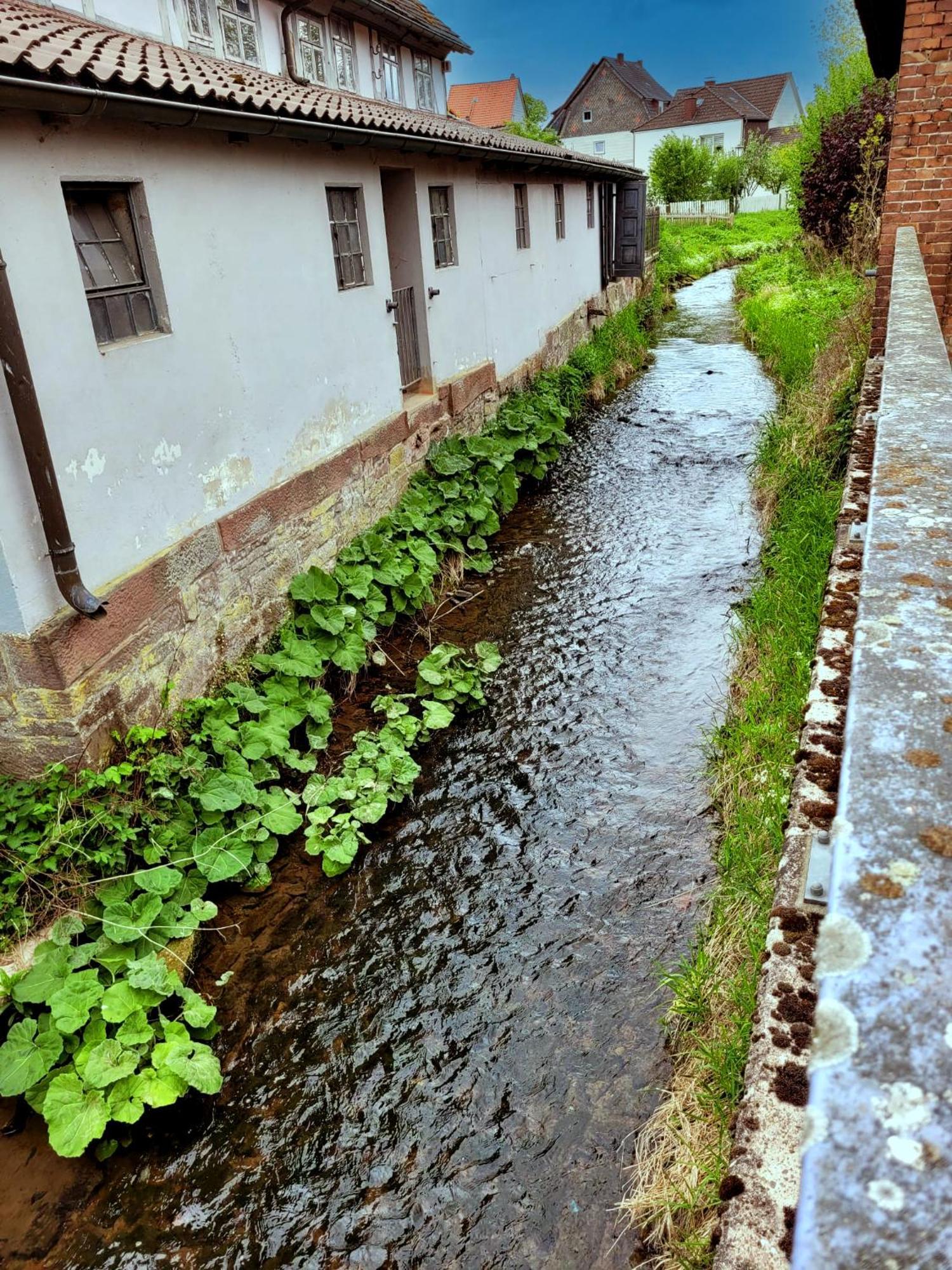 Ferienwohnung Zum Sollingtor Dassel Exterior foto