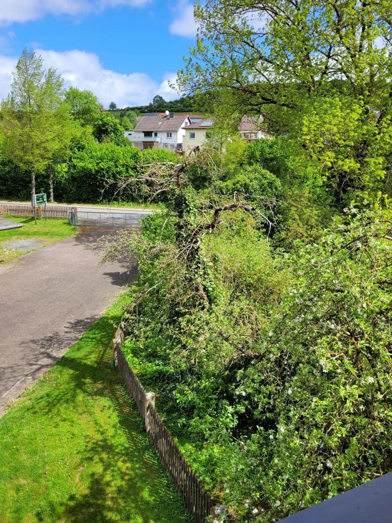 Ferienwohnung Zum Sollingtor Dassel Exterior foto